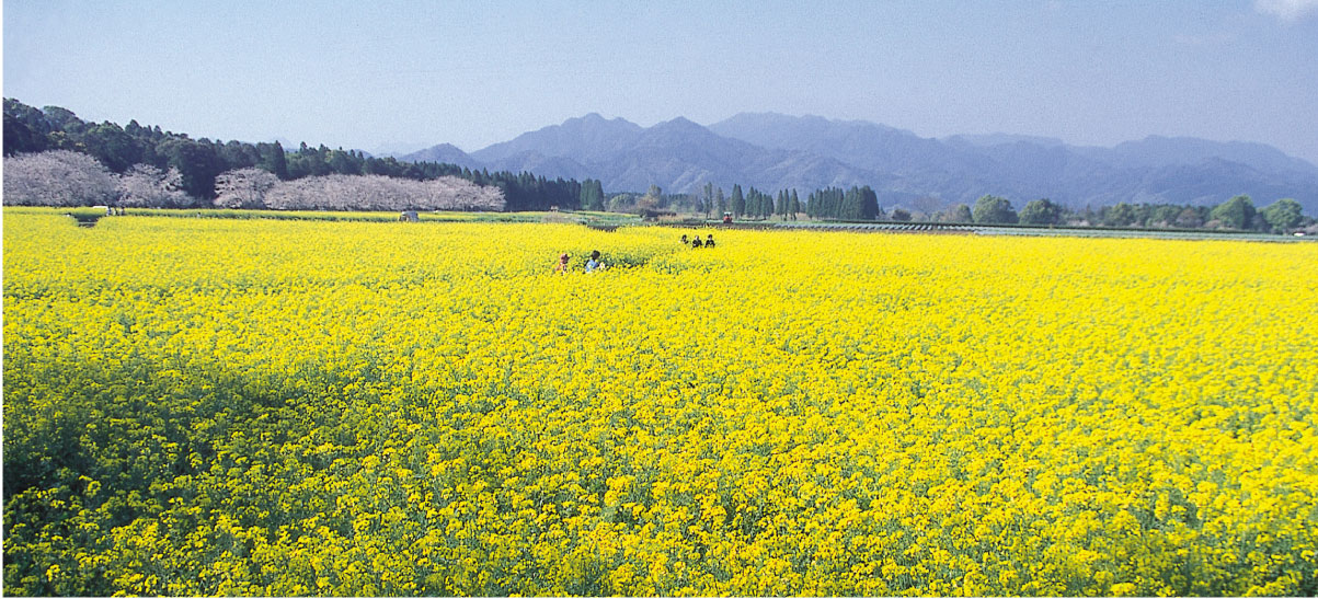 西都原公園